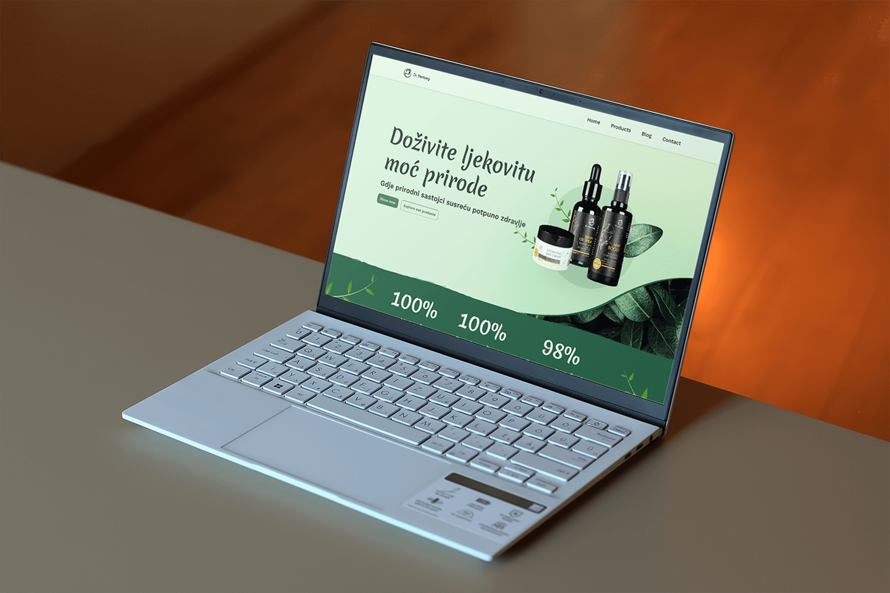 Project preview 1